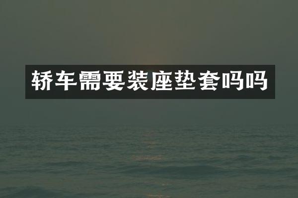 轿车需要装座垫套吗吗
