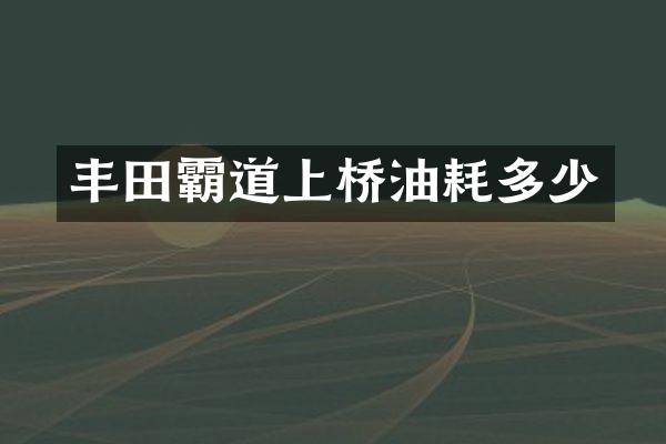 丰田霸道上桥油耗多少