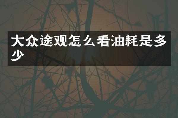 大众途观怎么看油耗是多少