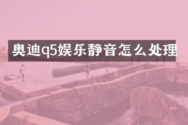 奥迪q5娱乐静音怎么处理