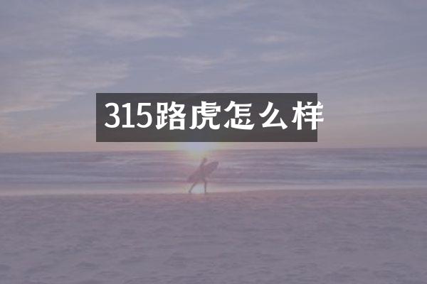 315路虎怎么样