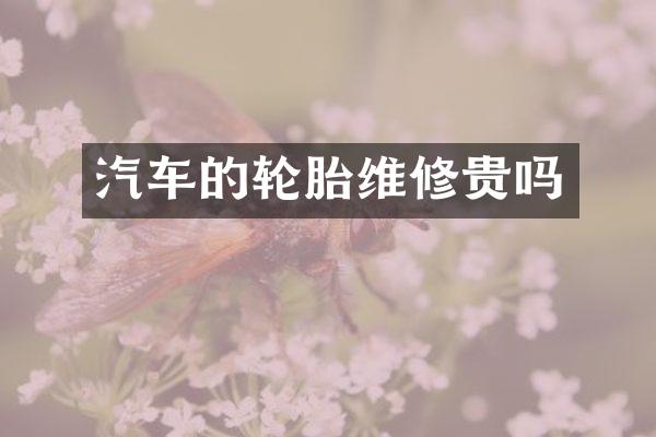 汽车的轮胎维修贵吗