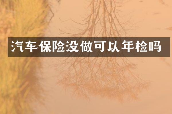 汽车保险没做可以年检吗
