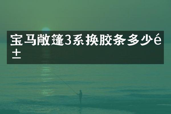 宝马敞篷3系换胶条多少钱