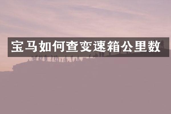 宝马如何查变速箱公里数
