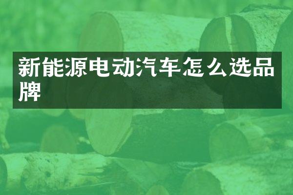 新能源电动汽车怎么选品牌