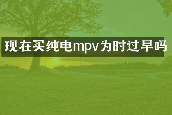 现在买纯电mpv为时过早吗