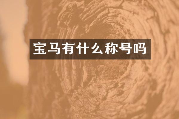 宝马有什么称号吗