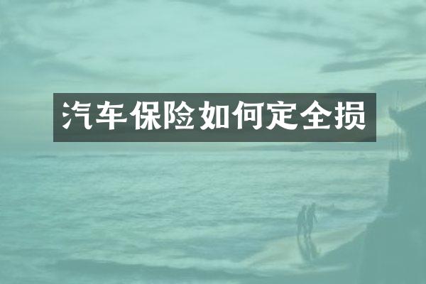汽车保险如何定全损