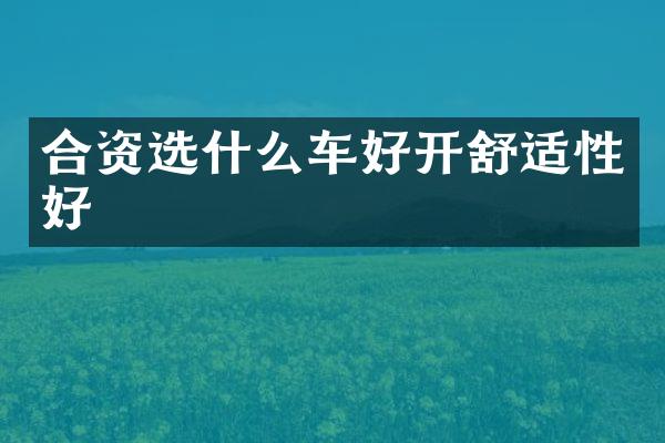 合资选什么车好开舒适性好