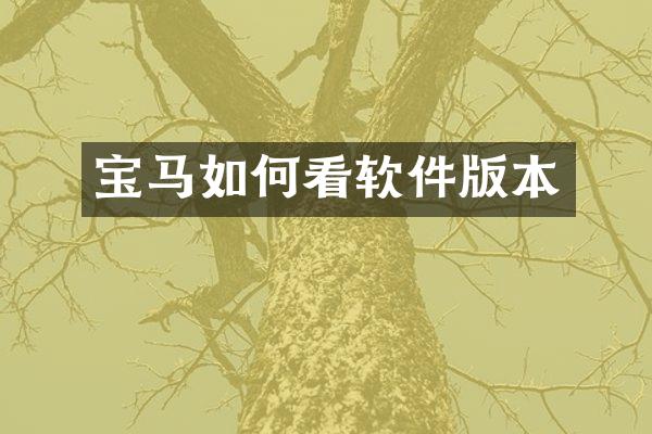宝马如何看软件版本