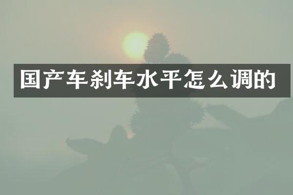 国产车刹车水平怎么调的