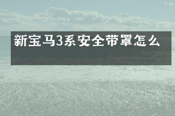 新宝马3系安全带罩怎么拆