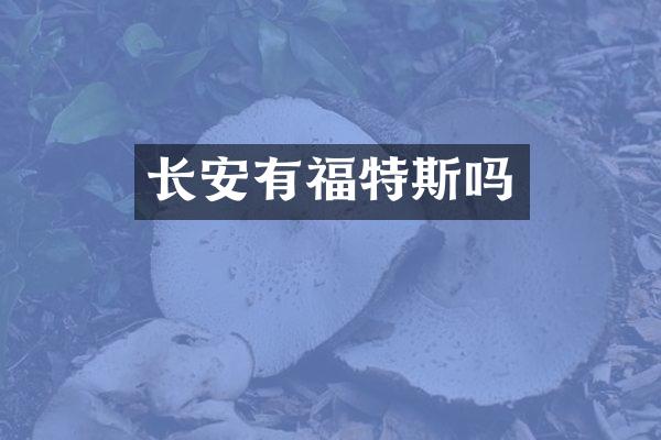 长安有福特斯吗