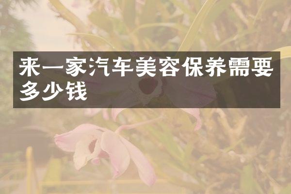 来一家汽车美容保养需要多少钱