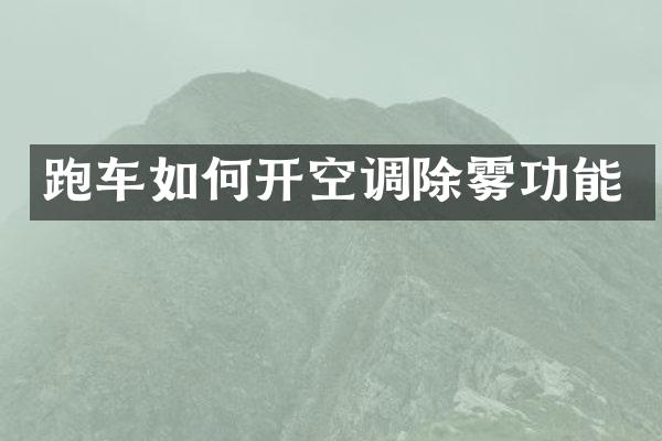 跑车如何开空调除雾功能