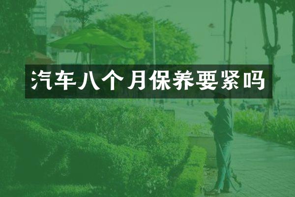 汽车八个月保养要紧吗