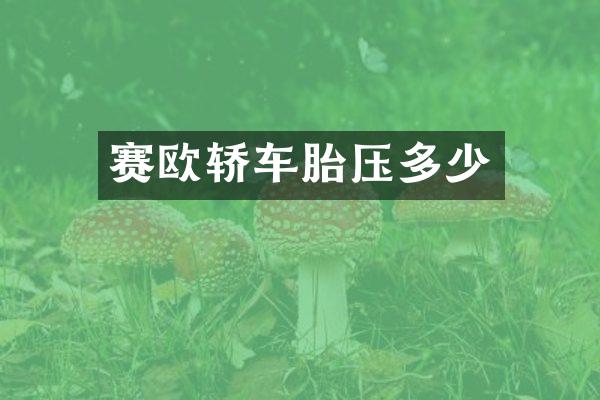赛欧轿车胎压多少
