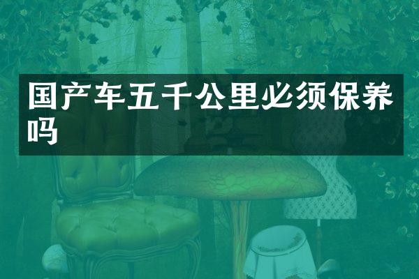 国产车五千公里必须保养吗