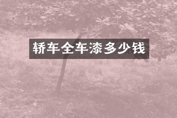 轿车全车漆多少钱