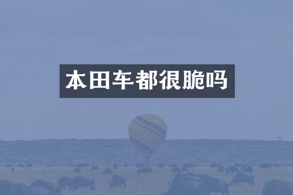 本田车都很脆吗