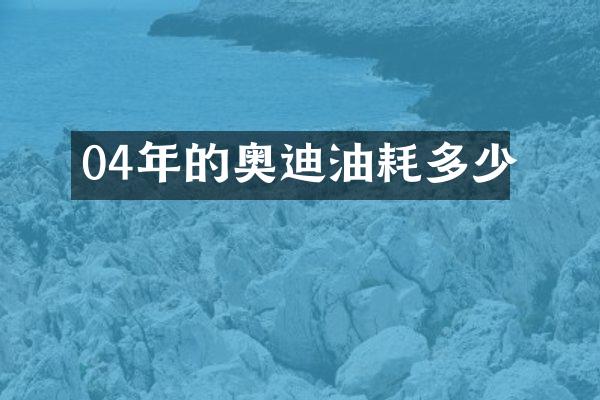 04年的奥迪油耗多少