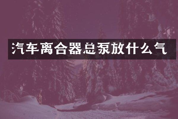 汽车离合器总泵放什么气