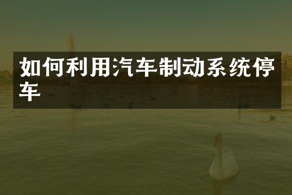 如何利用汽车制动系统停车