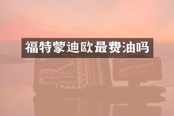 福特蒙迪欧最费油吗