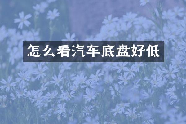 怎么看汽车底盘好低