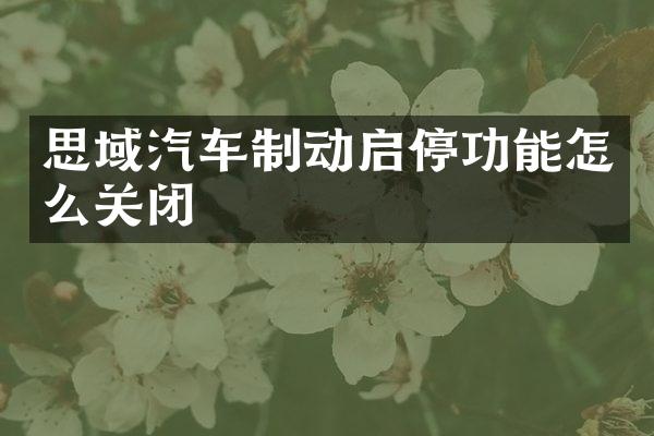 思域汽车制动启停功能怎么关闭
