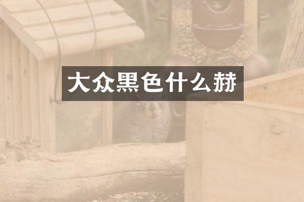 大众黑色什么赫