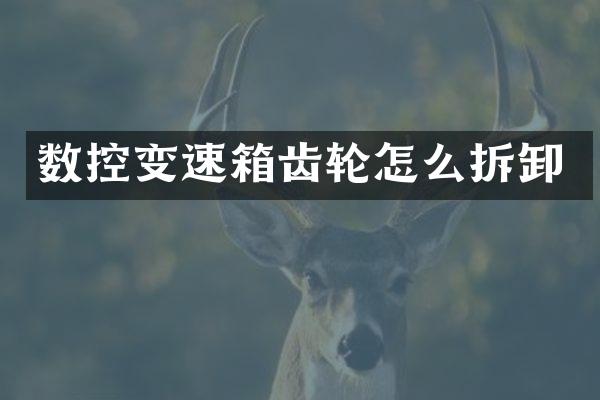 数控变速箱齿轮怎么拆卸
