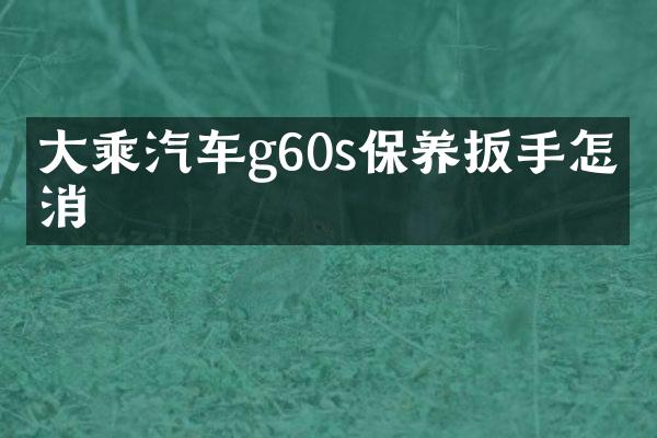 大乘汽车g60s保养扳手怎么消