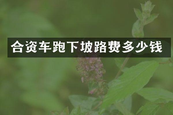 合资车跑下坡路费多少钱