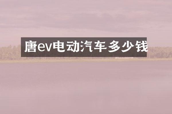 唐ev电动汽车多少钱
