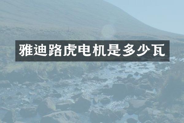 雅迪路虎电机是多少瓦