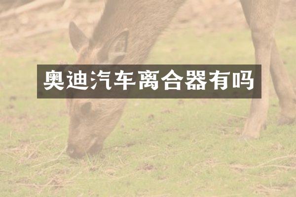 奥迪汽车离合器有吗
