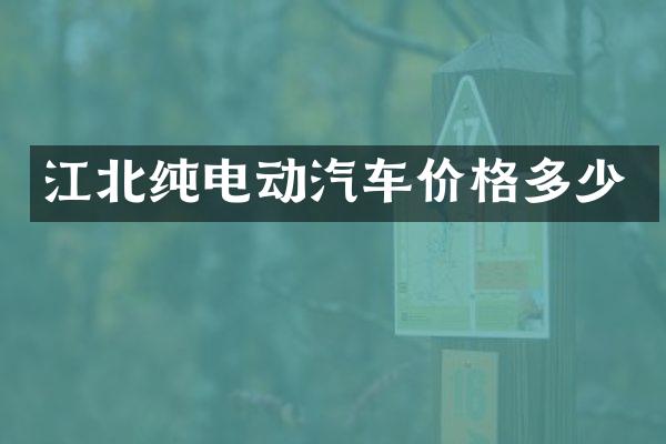 江北纯电动汽车价格多少