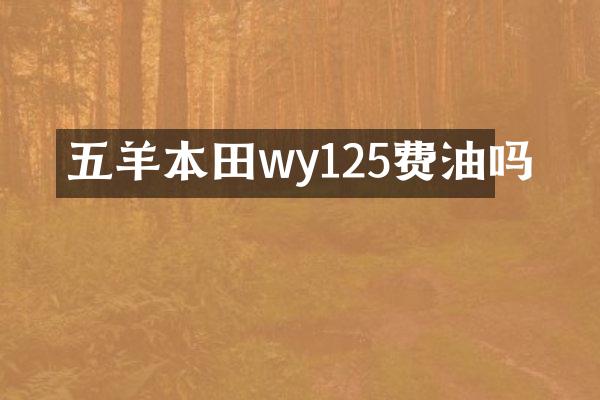 五羊本田wy125费油吗