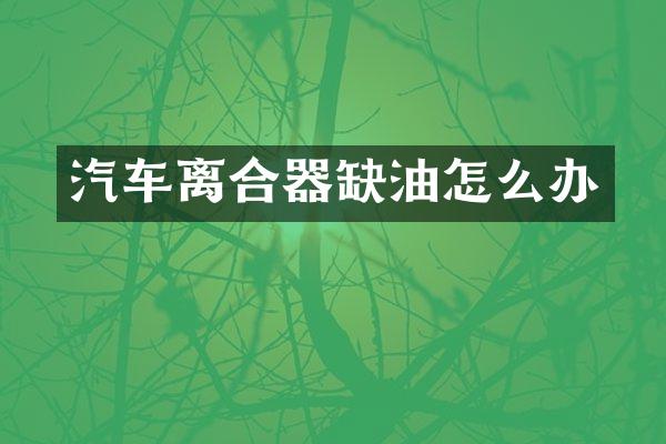 汽车离合器缺油怎么办