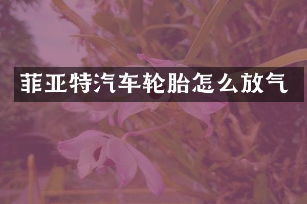 菲亚特汽车轮胎怎么放气