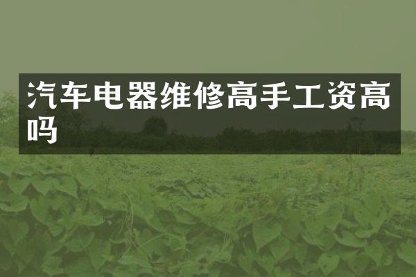 汽车电器维修高手工资高吗