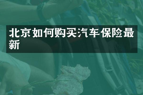 北京如何购买汽车保险最新