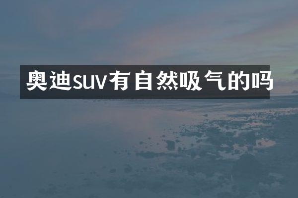 奥迪suv有自然吸气的吗