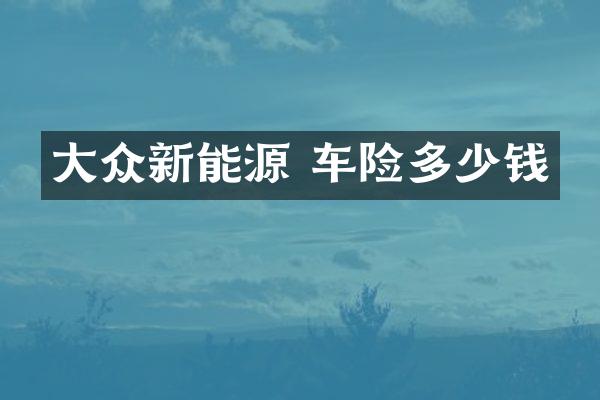 大众新能源 车险多少钱