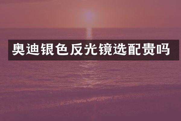 奥迪银色反光镜选配贵吗