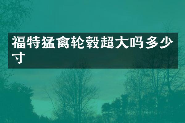 福特猛禽轮毂超大吗多少寸