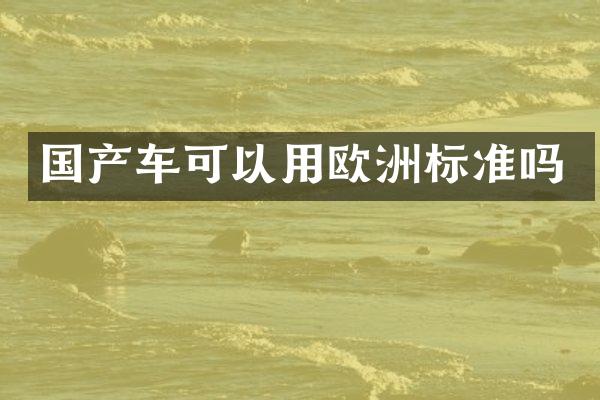 国产车可以用欧洲标准吗