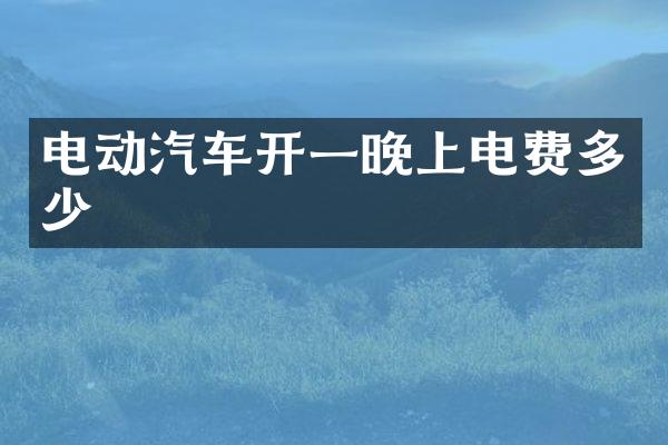 电动汽车开一晚上电费多少